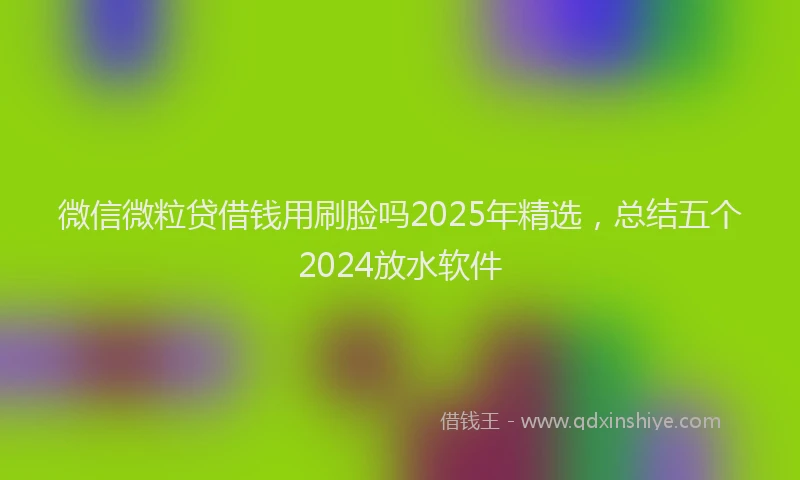 微信微粒贷借钱用刷脸吗2025年精选，总结五个2024放水软件