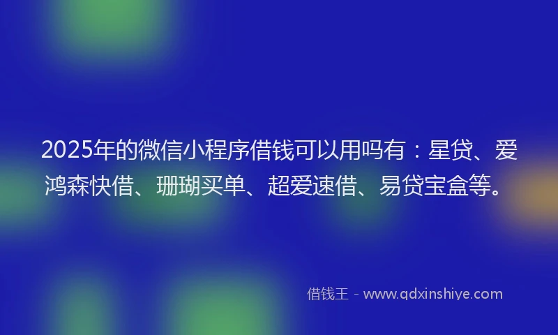 2025年的微信小程序借钱可以用吗有：星贷、爱鸿森快借、珊瑚买单、超爱速借、易贷宝盒等。