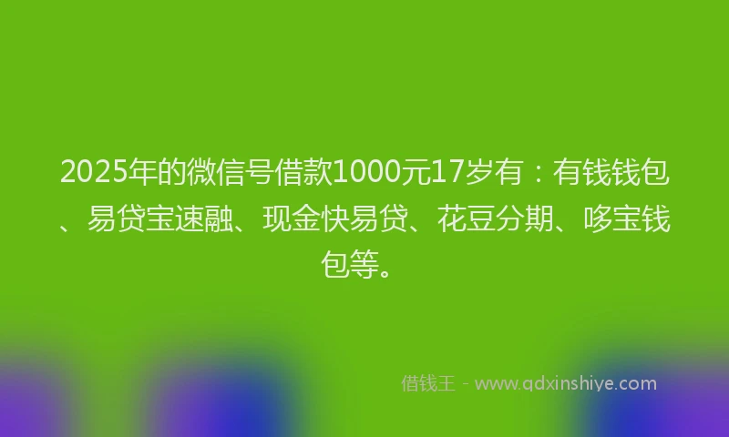 2025年的微信号借款1000元17岁有：有钱钱包、易贷宝速融、现金快易贷、花豆分期、哆宝钱包等。