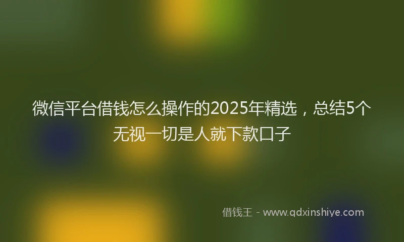 微信平台借钱怎么操作的2025年精选，总结5个无视一切是人就下款口子