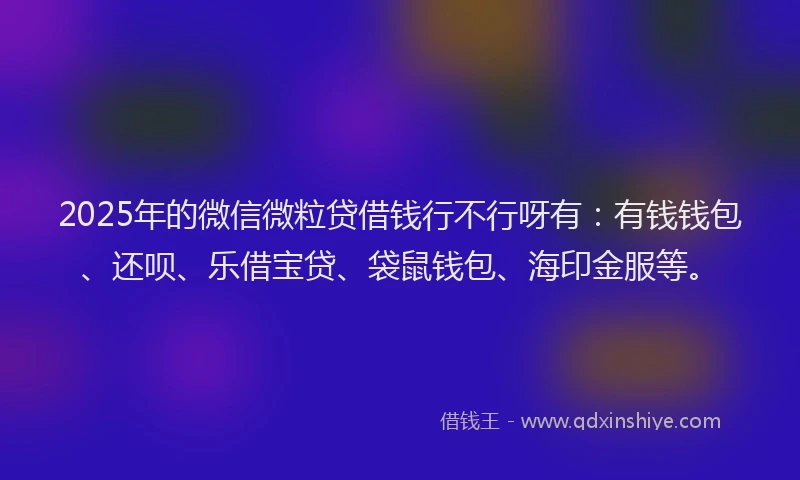2025年的微信微粒贷借钱行不行呀有：有钱钱包、还呗、乐借宝贷、袋鼠钱包、海印金服等。