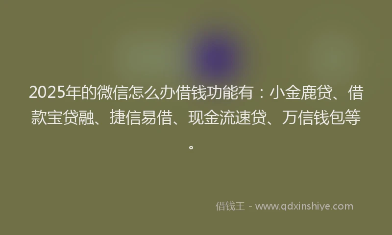 2025年的微信怎么办借钱功能有：小金鹿贷、借款宝贷融、捷信易借、现金流速贷、万信钱包等。
