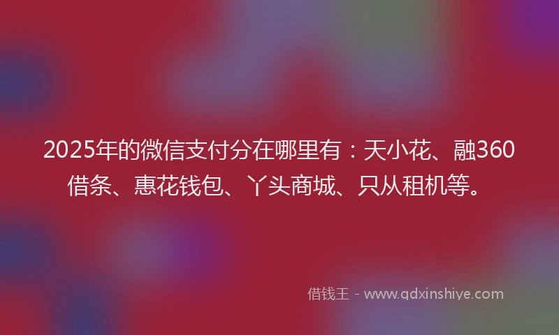 2025年的微信支付分在哪里有：天小花、融360借条、惠花钱包、丫头商城、只从租机等。