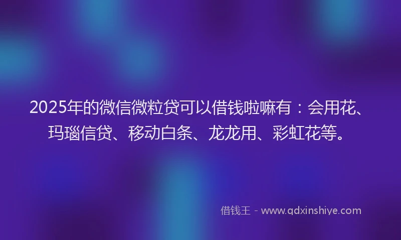 2025年的微信微粒贷可以借钱啦嘛有：会用花、玛瑙信贷、移动白条、龙龙用、彩虹花等。
