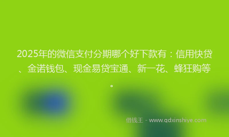 2025年的微信支付分期哪个好下款有：信用快贷、金诺钱包、现金易贷宝通、新一花、蜂狂购等。