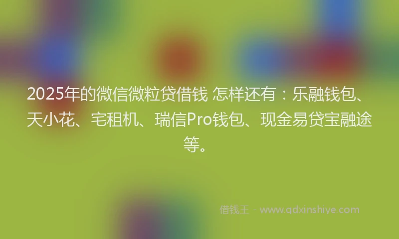 2025年的微信微粒贷借钱 怎样还有：乐融钱包、天小花、宅租机、瑞信Pro钱包、现金易贷宝融途等。