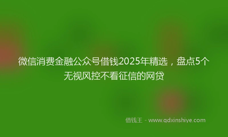 微信消费金融公众号借钱2025年精选，盘点5个无视风控不看征信的网贷