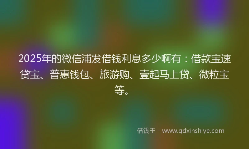 2025年的微信浦发借钱利息多少啊有：借款宝速贷宝、普惠钱包、旅游购、壹起马上贷、微粒宝等。