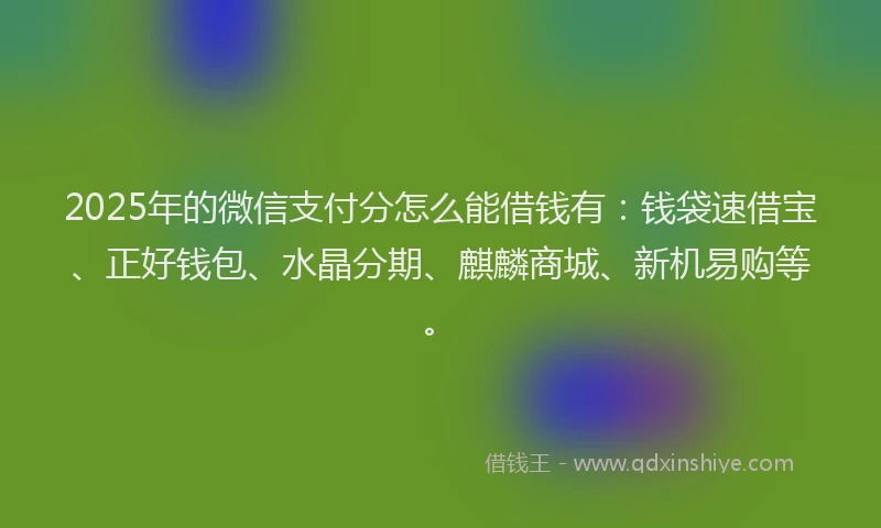 2025年的微信支付分怎么能借钱有：钱袋速借宝、正好钱包、水晶分期、麒麟商城、新机易购等。