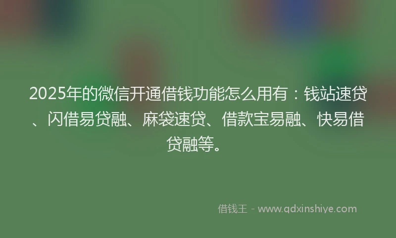 2025年的微信开通借钱功能怎么用有：钱站速贷、闪借易贷融、麻袋速贷、借款宝易融、快易借贷融等。
