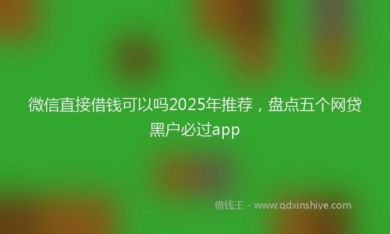微信直接借钱可以吗2025年推荐，盘点五个网贷黑户必过app