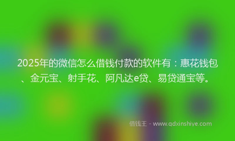 2025年的微信怎么借钱付款的软件有：惠花钱包、金元宝、射手花、阿凡达e贷、易贷通宝等。