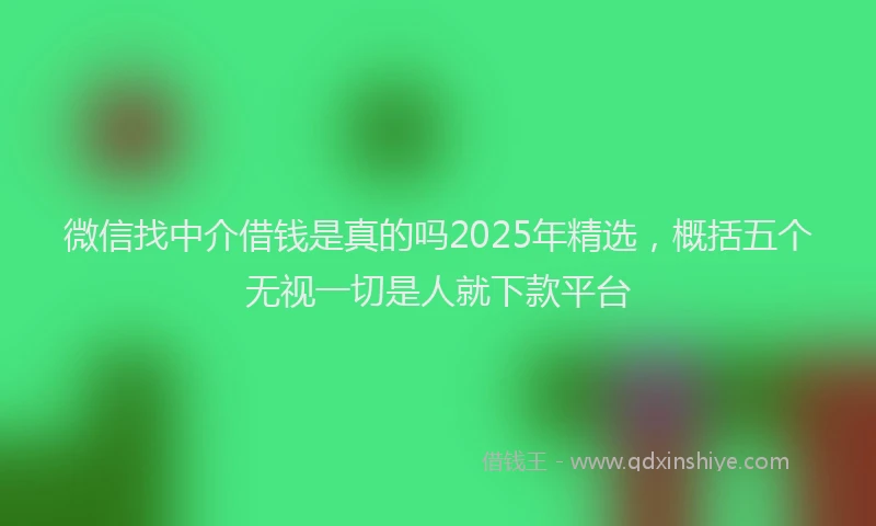 微信找中介借钱是真的吗2025年精选，概括五个无视一切是人就下款平台