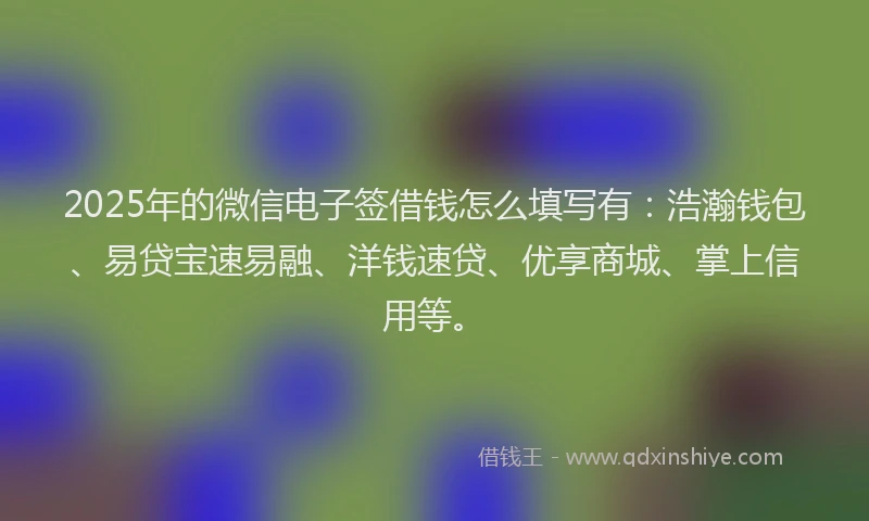 2025年的微信电子签借钱怎么填写有：浩瀚钱包、易贷宝速易融、洋钱速贷、优享商城、掌上信用等。