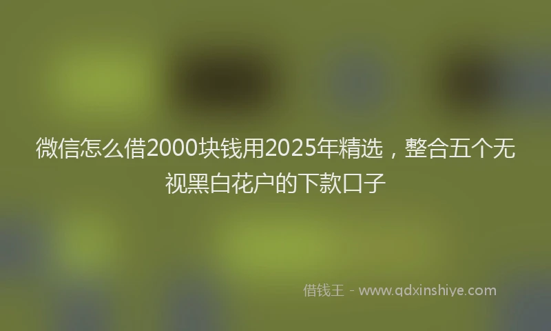 微信怎么借2000块钱用2025年精选，整合五个无视黑白花户的下款口子
