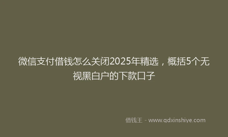 微信支付借钱怎么关闭2025年精选，概括5个无视黑白户的下款口子