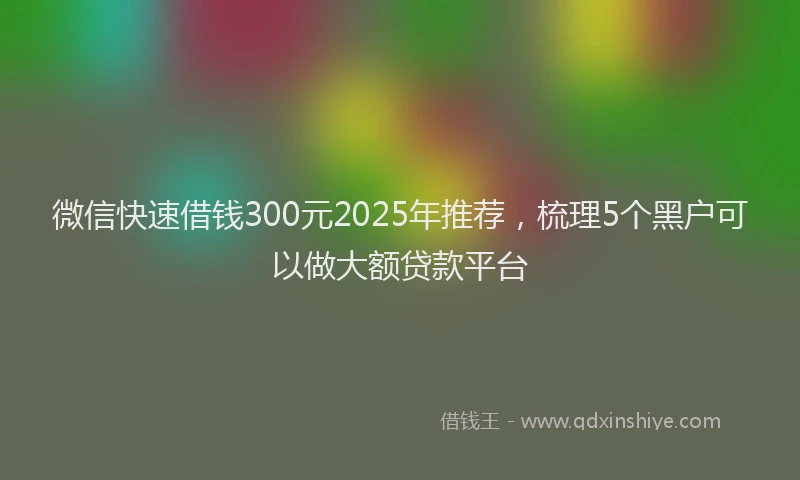 微信快速借钱300元2025年推荐，梳理5个黑户可以做大额贷款平台
