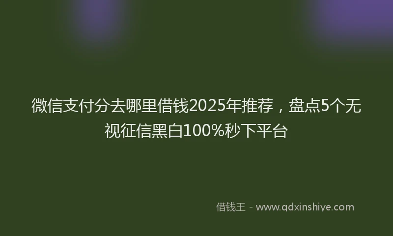 微信支付分去哪里借钱2025年推荐，盘点5个无视征信黑白100%秒下平台