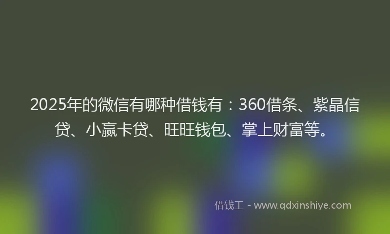 2025年的微信有哪种借钱有：360借条、紫晶信贷、小赢卡贷、旺旺钱包、掌上财富等。