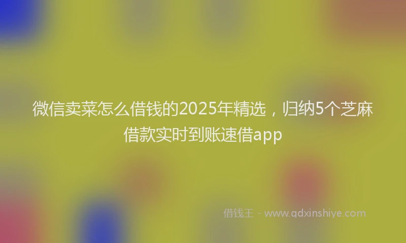微信卖菜怎么借钱的2025年精选，归纳5个芝麻借款实时到账速借app