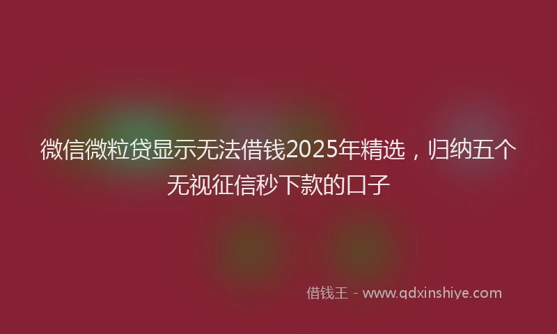 微信微粒贷显示无法借钱2025年精选，归纳五个无视征信秒下款的口子