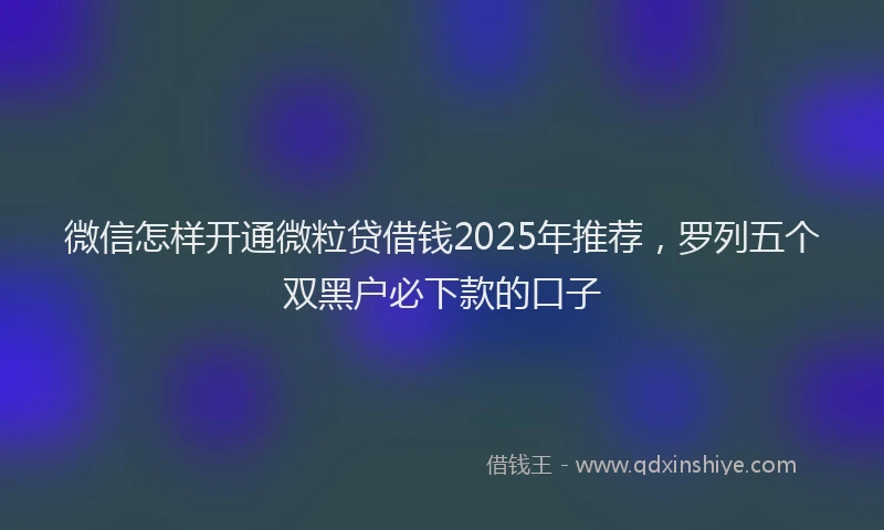 微信怎样开通微粒贷借钱2025年推荐，罗列五个双黑户必下款的口子