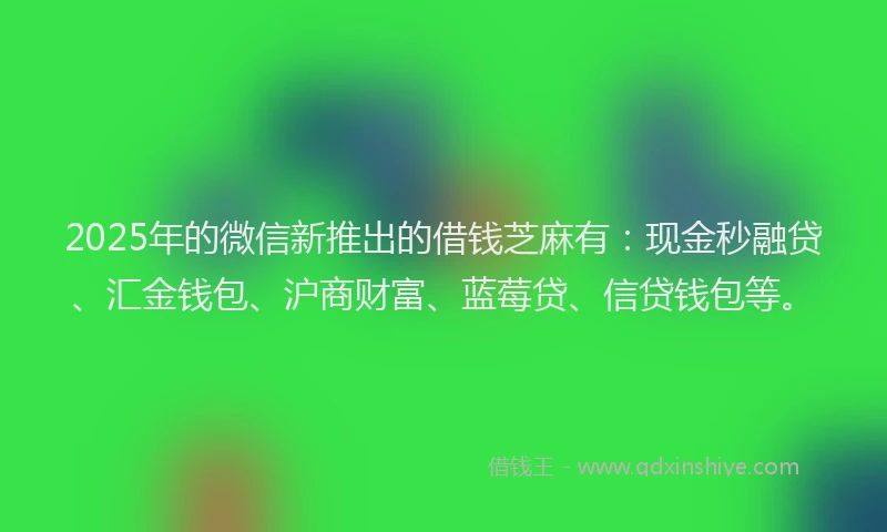 2025年的微信新推出的借钱芝麻有：现金秒融贷、汇金钱包、沪商财富、蓝莓贷、信贷钱包等。
