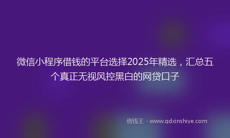 微信小程序借钱的平台选择2025年精选，汇总五个真正无视风控黑白的网贷口子