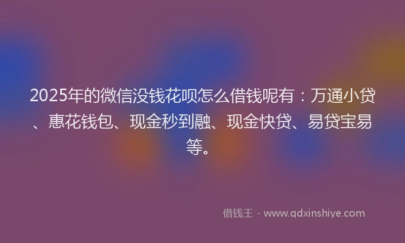 2025年的微信没钱花呗怎么借钱呢有：万通小贷、惠花钱包、现金秒到融、现金快贷、易贷宝易等。