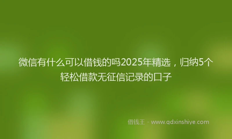 微信有什么可以借钱的吗2025年精选，归纳5个轻松借款无征信记录的口子