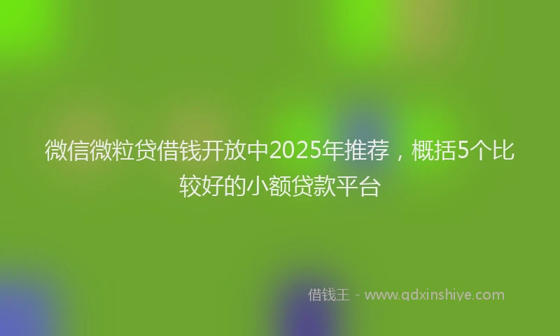 微信微粒贷借钱开放中2025年推荐，概括5个比较好的小额贷款平台