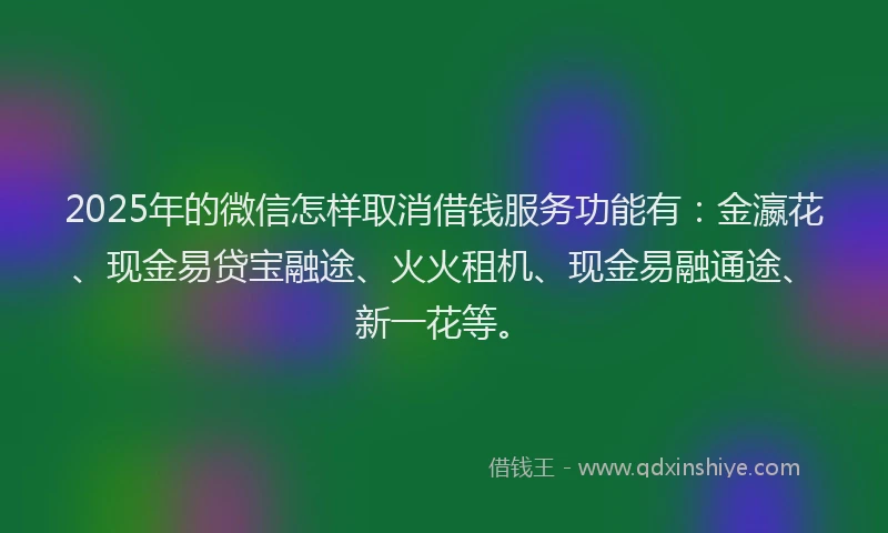 2025年的微信怎样取消借钱服务功能有：金瀛花、现金易贷宝融途、火火租机、现金易融通途、新一花等。