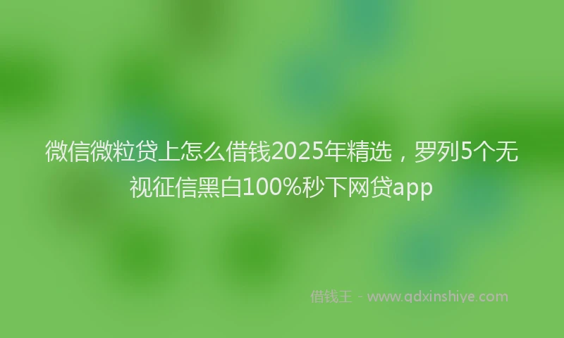 微信微粒贷上怎么借钱2025年精选，罗列5个无视征信黑白100%秒下网贷app