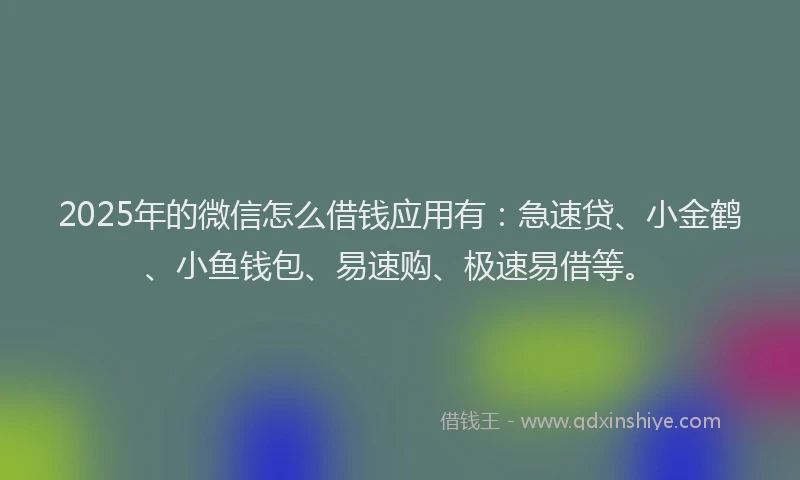 2025年的微信怎么借钱应用有：急速贷、小金鹤、小鱼钱包、易速购、极速易借等。