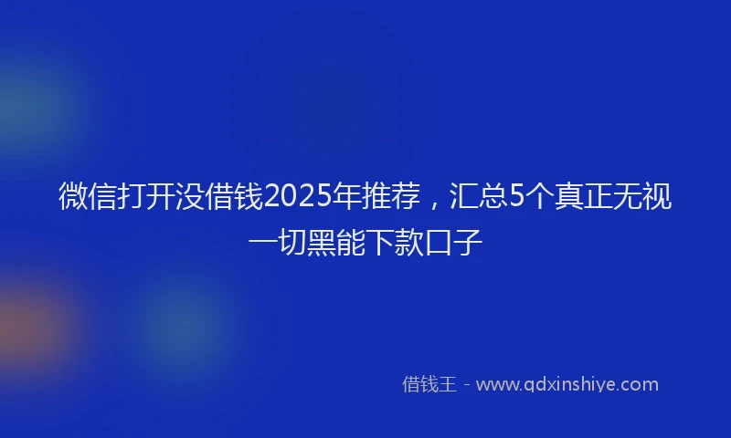 微信打开没借钱2025年推荐，汇总5个真正无视一切黑能下款口子