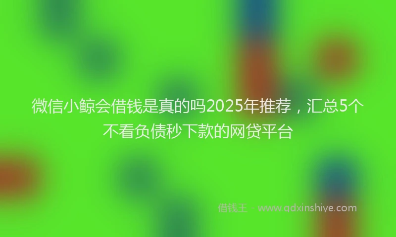 微信小鲸会借钱是真的吗2025年推荐，汇总5个不看负债秒下款的网贷平台