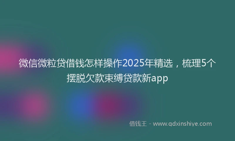 微信微粒贷借钱怎样操作2025年精选，梳理5个摆脱欠款束缚贷款新app