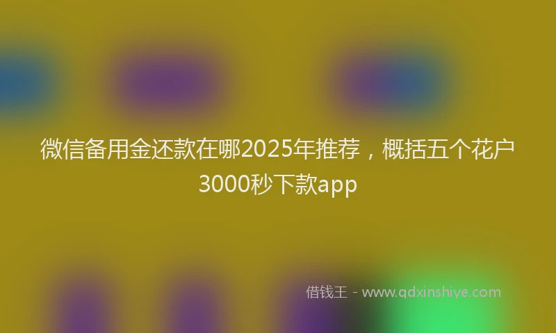 微信备用金还款在哪2025年推荐，概括五个花户3000秒下款app