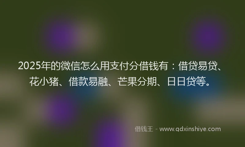 2025年的微信怎么用支付分借钱有：借贷易贷、花小猪、借款易融、芒果分期、日日贷等。
