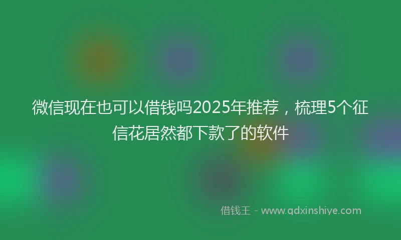 微信现在也可以借钱吗2025年推荐，梳理5个征信花居然都下款了的软件