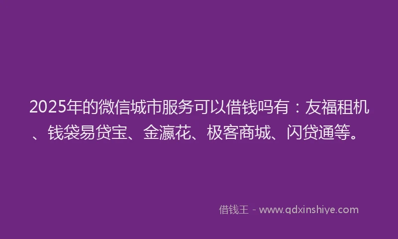 2025年的微信城市服务可以借钱吗有：友福租机、钱袋易贷宝、金瀛花、极客商城、闪贷通等。