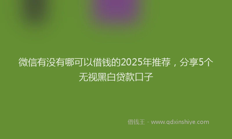 微信有没有哪可以借钱的2025年推荐，分享5个无视黑白贷款口子