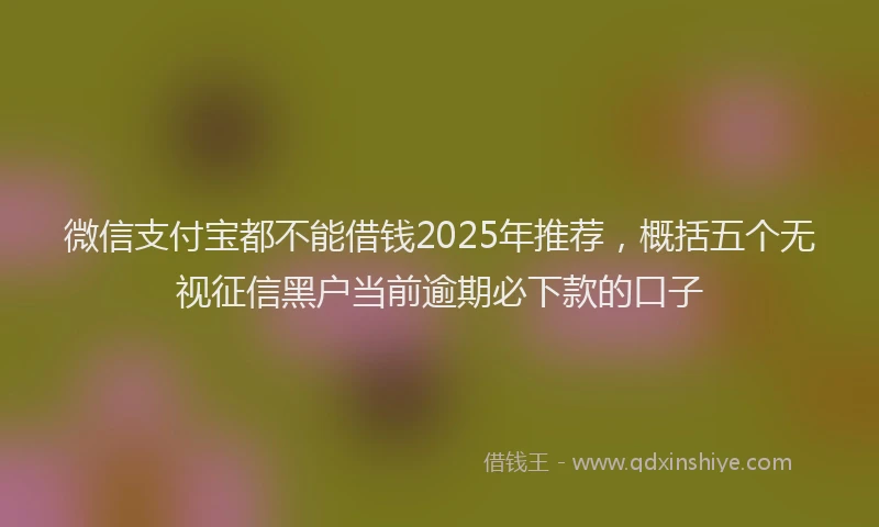 微信支付宝都不能借钱2025年推荐，概括五个无视征信黑户当前逾期必下款的口子