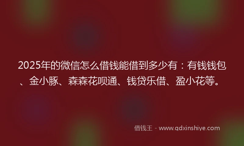 2025年的微信怎么借钱能借到多少有：有钱钱包、金小豚、森森花呗通、钱贷乐借、盈小花等。