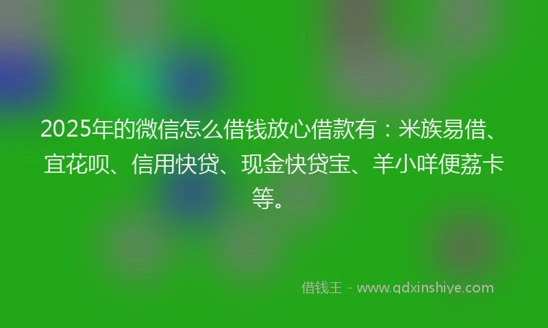 2025年的微信怎么借钱放心借款有：米族易借、宜花呗、信用快贷、现金快贷宝、羊小咩便荔卡等。
