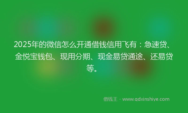 2025年的微信怎么开通借钱信用飞有：急速贷、金悦宝钱包、现用分期、现金易贷通途、还易贷等。