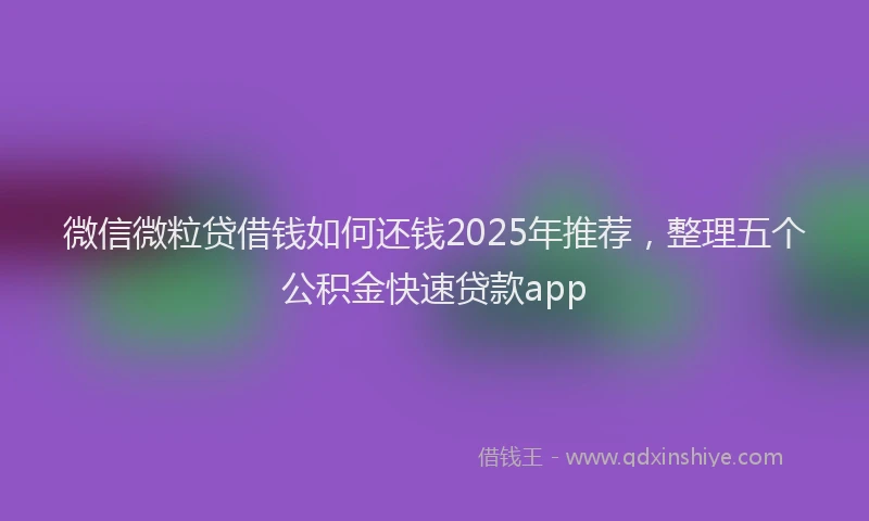 微信微粒贷借钱如何还钱2025年推荐，整理五个公积金快速贷款app