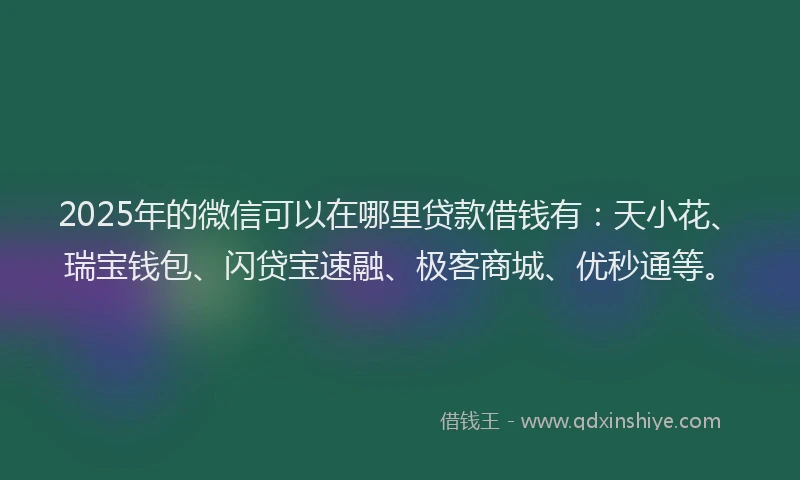 2025年的微信可以在哪里贷款借钱有：天小花、瑞宝钱包、闪贷宝速融、极客商城、优秒通等。