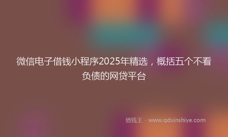 微信电子借钱小程序2025年精选，概括五个不看负债的网贷平台