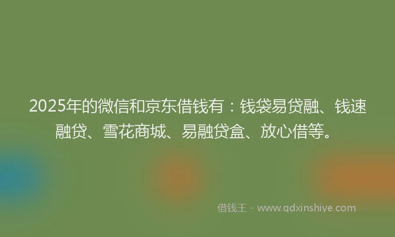 2025年的微信和京东借钱有：钱袋易贷融、钱速融贷、雪花商城、易融贷盒、放心借等。